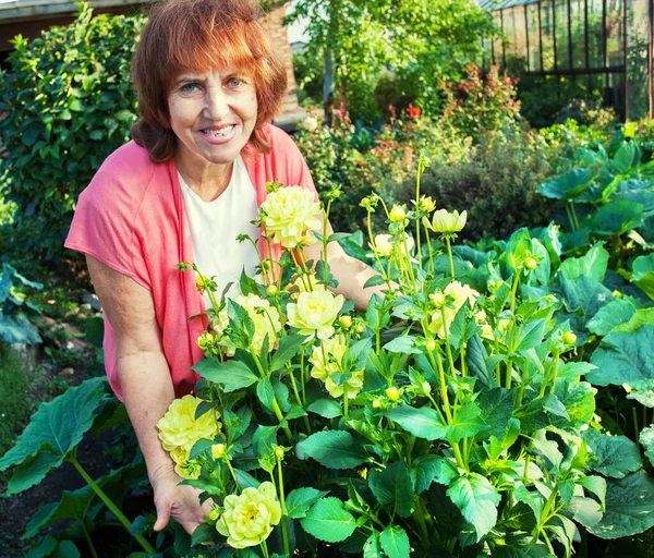 Woman in the garden cares for flowers — Stock Photo, Image