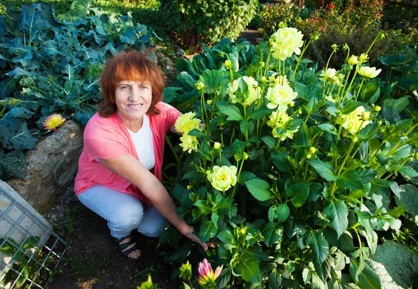 Woman in the garden cares for flowers — Stock Photo, Image