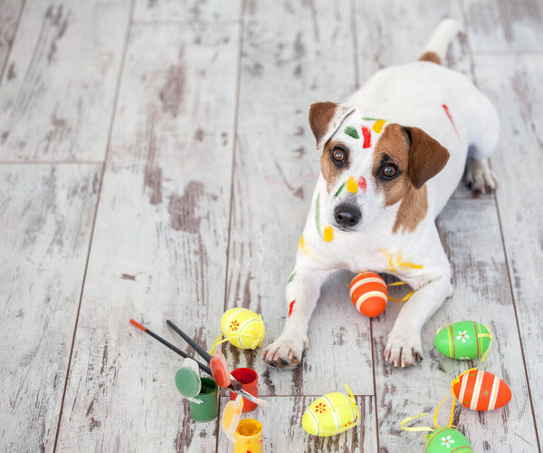 Dog with painted Easter eggs