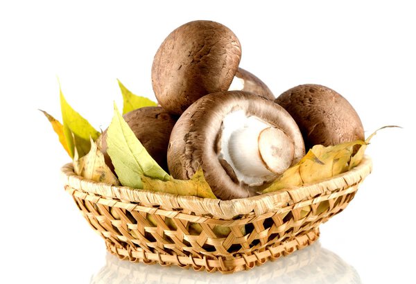 свежее шампанское, грибы
 