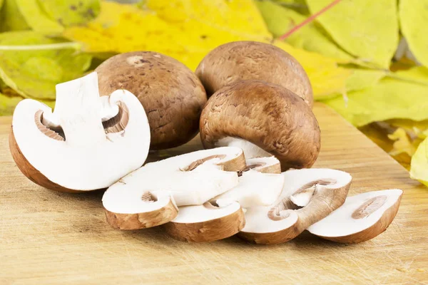 Fresh champignon, mushroom — Stock Photo, Image