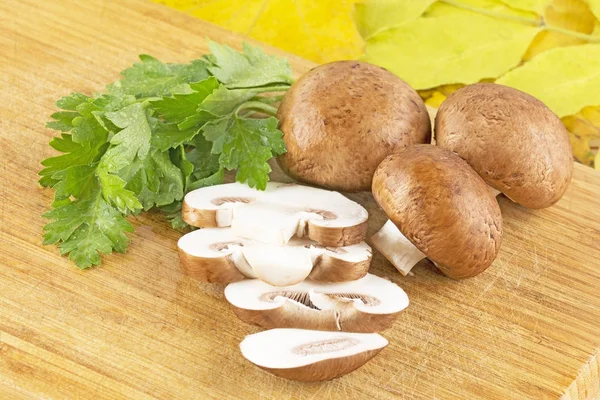 Fresh champignon, mushroom — Stock Photo, Image