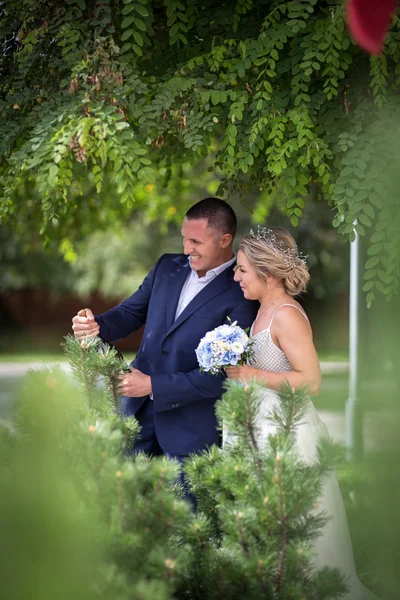 Novia y novio en la boda con champán — Foto de Stock