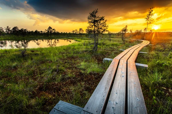 Sunset in Kemeri National Park — Stock Photo, Image