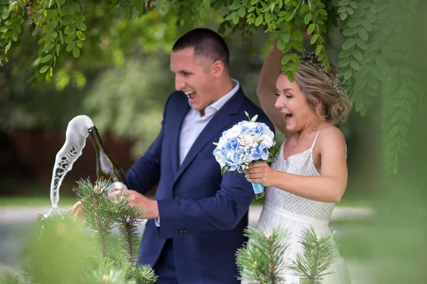 Noiva e noivo no casamento com champanhe Fotos De Bancos De Imagens