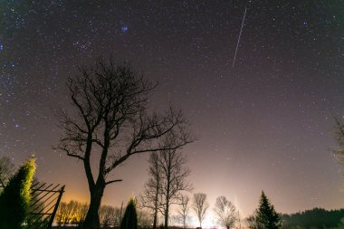 Ağaç ve yol ile gece yıldız