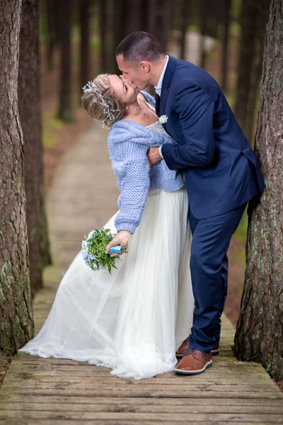 Novia y novio en el día de la boda — Foto de Stock