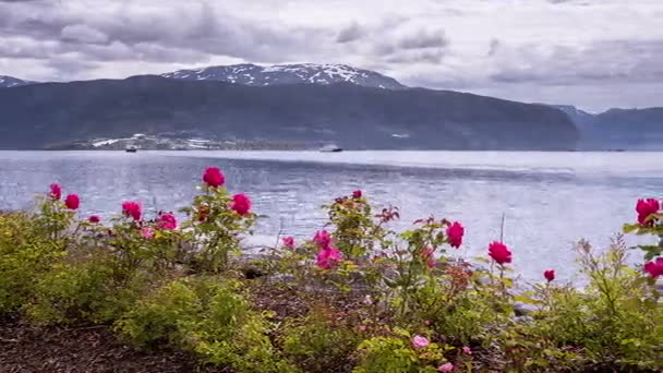 Vista temporal de Vangsnes en Noruega — Vídeos de Stock