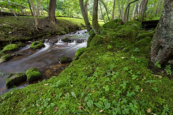 Green Park in Latvia — 图库照片