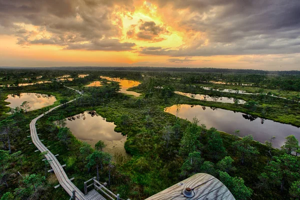 Pôr do sol no Parque Nacional Kemeri Fotos De Bancos De Imagens Sem Royalties