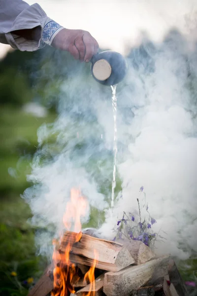 Vreugdevuur in een bos met varens — Stockfoto