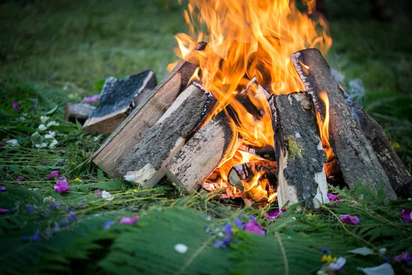 在木材与蕨类植物的篝火 — 图库照片