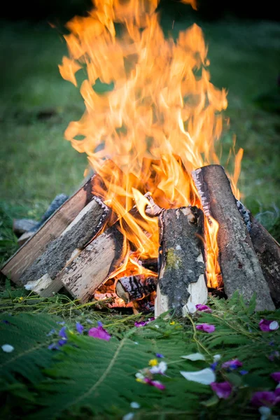 Φωτιά σε ένα ξύλινο με φτέρη — Φωτογραφία Αρχείου