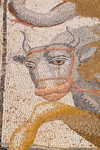 Antique mosaic in Dion. Pieria, Greece — Stock Photo, Image