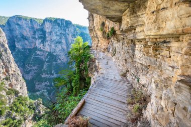 Agia Paraskevi manastırı yakınlarında uçurum kenarında asılı. Monodendri, Epirus, Yunanistan