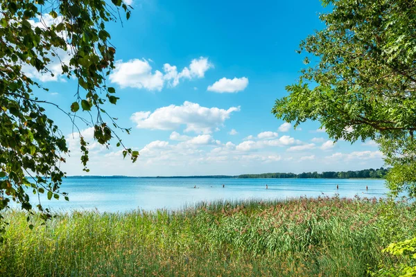 Folk Simmar Sjön Saadjarv Sommaren Estland Europa — Stockfoto