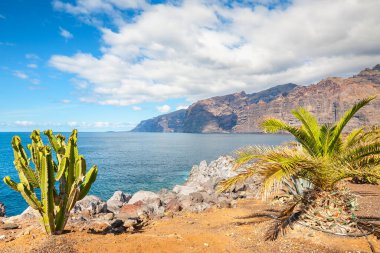 Puerto de Santiago 'dan Los Gigantes uçurumlarına bakın. Tenerife, Kanarya Adaları, İspanya