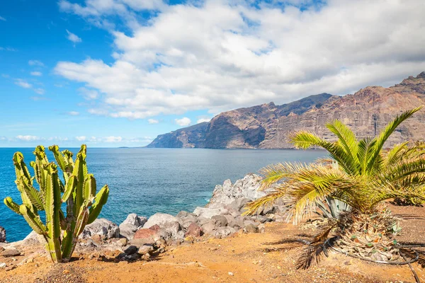 Vista Para Los Gigantes Penhascos Puerto Santiago Tenerife Ilhas Canárias — Fotografia de Stock
