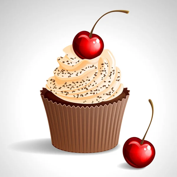 Cupcake met cherry Vectorbeelden