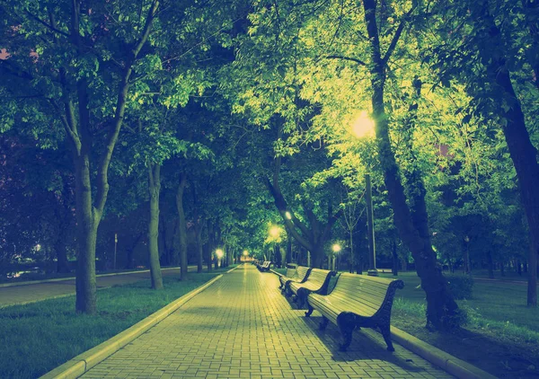 Дерев'яні лавки паркові ніч і Алея — стокове фото