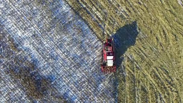4K. Combine Harvester is working in the corn field after the First Snow!!! Harvester is cutting ripe dry corn. The first snow fell in early winter. Aerial top view. — Stock Video