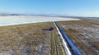 4 k. birleştirmek hasat ilk kar yağışı sonra Mısır tarlasında çalışıyor!!! Hasat olgun kuru Mısır kesiyor. Erken kışın ilk karı düştü. Havadan panoramik görünümü.