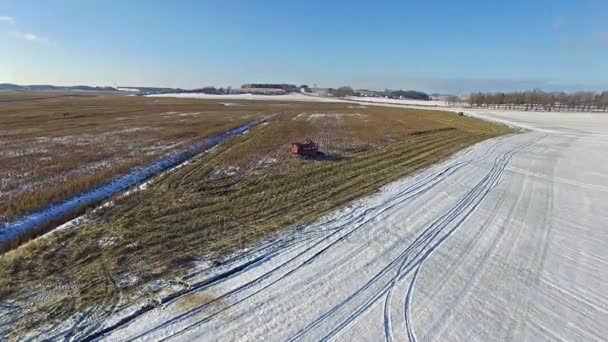 4K. Combine Harvester travaille dans le champ de maïs après la première neige ! ! ! La moissonneuse coupe du maïs sec mûr. La première neige est tombée au début de l'hiver. Vue panoramique aérienne . — Video