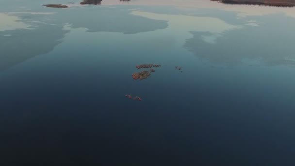 飛行および離陸日没、空中ビュー上の冬の野生の凍った湖の上. — ストック動画