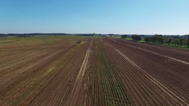 4 k. antenne. Oogsten van aardappelen met moderne aardappel-digger aanhangwagen, trekkers en vrachtwagens. — Stockvideo