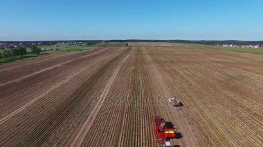 4 k. anteni. Modern patates-kazıcı römorklar, Traktörler ve kamyonlar ile patates hasat. 