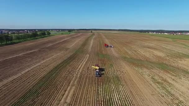 4 k. antenn. Skörda potatis med moderna potatis-digger släpvagnar, traktorer och lastbilar. — Stockvideo