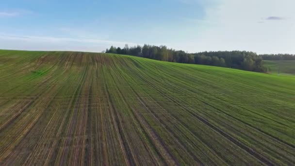 4 k. vlucht en opstijgen boven groene heuvels en velden bij zonsondergang, luchtfoto panoramisch uitzicht — Stockvideo