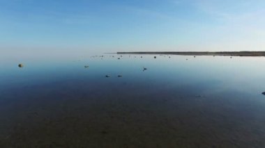 Kuşlar taş su, hava görünümünü yukarıda gün batımında denize ile büyülü uçuş
