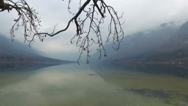 4 k. Amazing Bohinjsjön i dimmigt väder genom träd grenar, panoramautsikt. Juliska alperna, nationalparken Triglav, Slovenien, Europa. Vintertid — Stockvideo