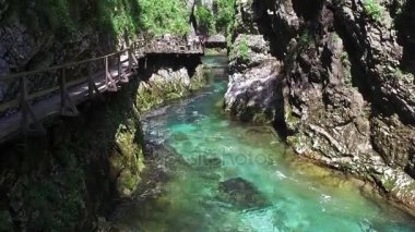 Radovna nehir Vintgar Gorge içinde akar. İnsanlar etrafında yürüyor. Temiz mavi su ve yeşil orman. Triglav Ulusal Parkı, Julian Alps, Bled Vadisi, Slovenya, Europe