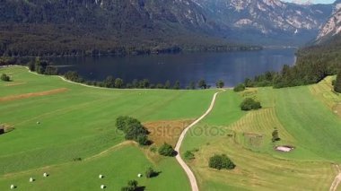 Uçuş sabah şaşırtıcı Bohinj Gölü vadisinde yukarıda. Yeşil tepeler ve Julian Alps Stara Fuzina köy yolu. Triglav Ulusal Parkı, Slovenya, Europe