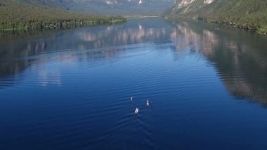 Uçuş şaşırtıcı Bohinj Gölü sabah yukarıda. Kürek eğitim insanlar. Mavi derin su ve Julian Alps dağlar. Triglav Ulusal Parkı, Slovenya, Europe