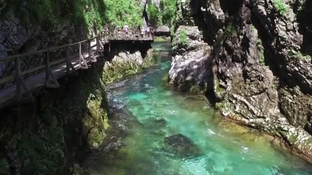 Radovna rivier mondt uit in Vintgar Gorge. Mensen lopen rond. Schone blauwe water en groene bossen. Triglav Nationaal Park Julische Alpen, Bled vallei, Slovenië, Europa — Stockvideo