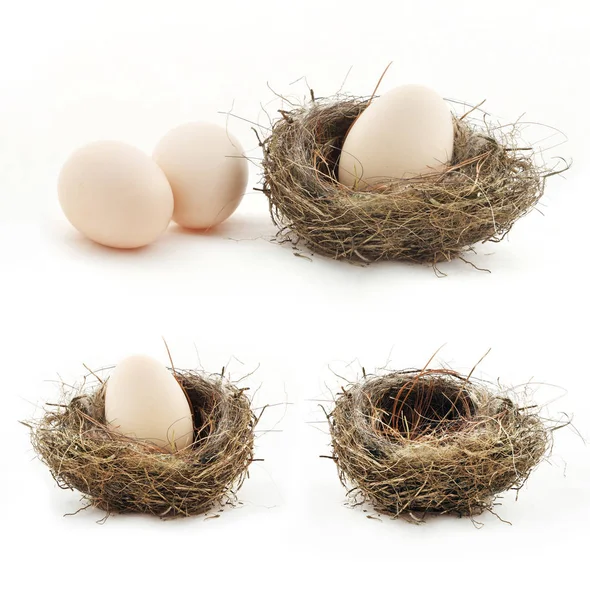 Composizione con nido vuoto e uova grandi all'interno dei piccoli nidi — Foto Stock