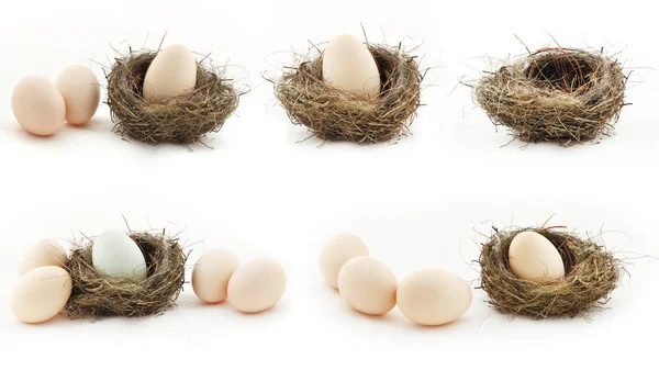 Composition with empty nest and big eggs inside the small nests — Stock Photo, Image