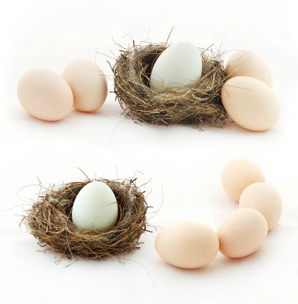 Composition with empty nest and big eggs inside the small nests — Stock Photo, Image