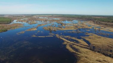 4 k. uçuş Bahar, hava panoramik görünümü'nde sular altında mavi nehir üzerinde.