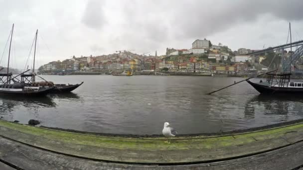 4 和の伝統的なポルトガル ボート ドウロ川、ポルト市。曇りの天気で時間の経過 — ストック動画