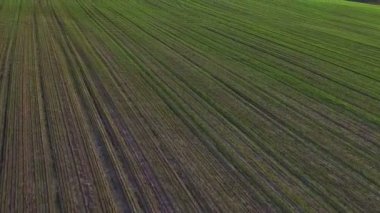 Uçuş yukarıda yeşil tepelerin ve günbatımı, hava panoramik görünüm alanları.