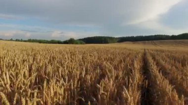 4 k. düşük uçuş ve kalkış gün batımı, hava panoramik manzaraya kırpma alanının üstündeki.