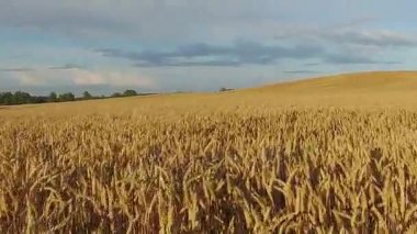 4 k. düşük uçuş ve kalkış gün batımı, hava panoramik manzaraya kırpma alanının üstündeki.