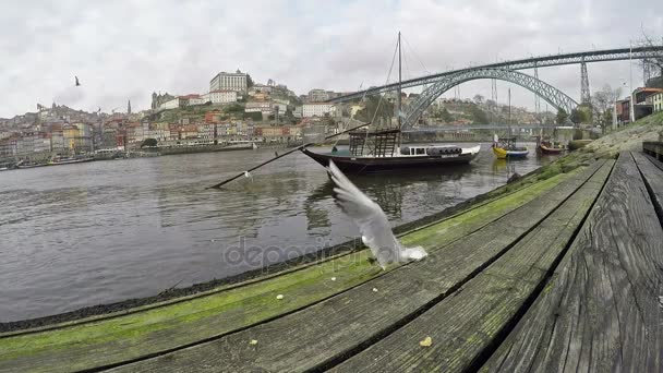 06 března 2017 - tradiční portugalské lodě na řece Douro, město Porto, Portugalsko. Panoramatický pohled s ptáky — Stock video