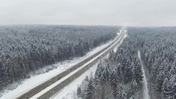 4 k. Road i skogen vintern med att köra bilar på snöfall. Panoramautsikt över Flygfoto. Gränspunkt perspektiv. — Stockvideo