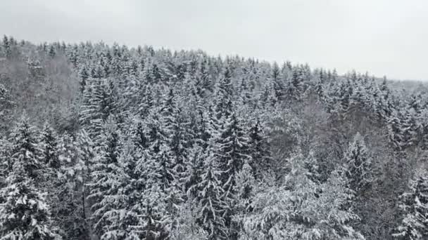 4 k. nízké letu nad zimní les na sněžení na severu, letecký panoramatický pohled. — Stock video