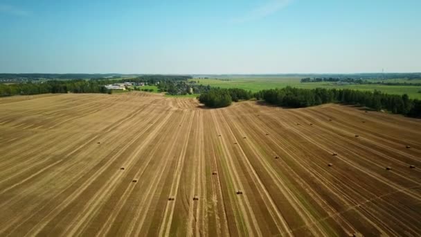 4k. Flug über bestellte Felder mit Heuhaufen nach der Ernte. Luftbild. — Stockvideo